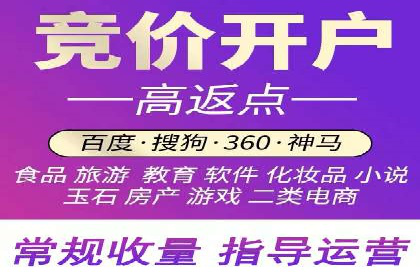 成功sem公司的策略与执行